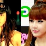 Park Bom before and after plastic surgery