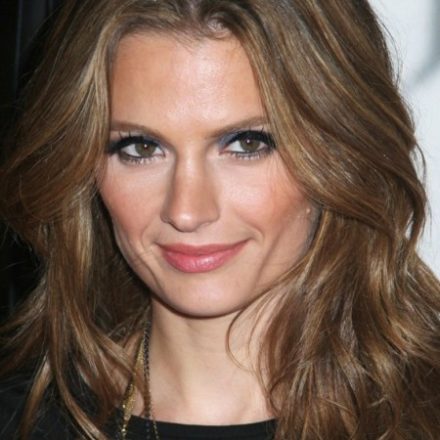 Other Than Nose Job, Has Stana Katic Done Something Else?